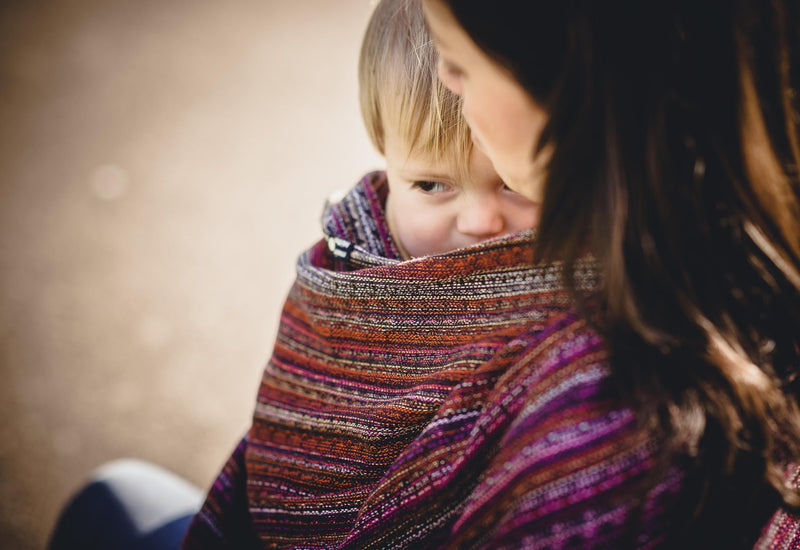 Didymos Blueberry Fall Woven Wrap