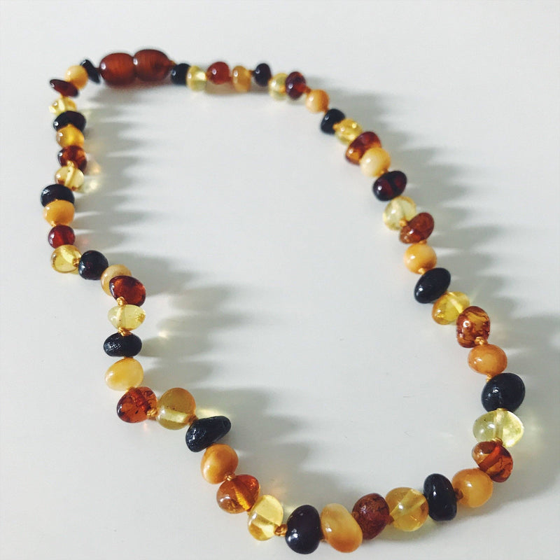 Tri Color Baltic Amber